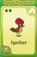 Igniter Royal Flycatcher