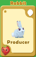 Producer Rabbit A