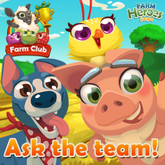 Ask the team!