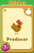 Producer Chicken A