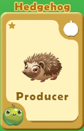 Producer Hedgehog A