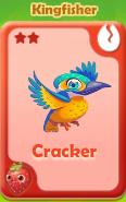 Cracker Kingfisher