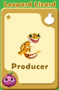 Producer Leopard Lizard A
