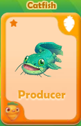 Producer Catfish