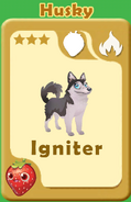 Igniter Husky A