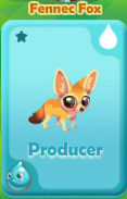 Producer Fennec Fox