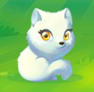 Arctic Fox