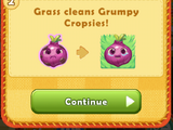 Grumpy Cropsie