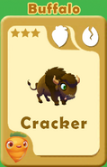 Cracker Buffalo A