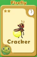 Cracker Firefly A