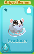 Producer Striped Possum