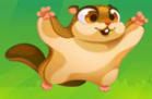 Flying Squirrel