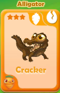 Cracker Alligator