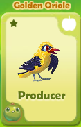 Producer Golden Oriole