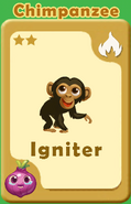 Igniter Chimpanzee A