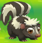 Skunk