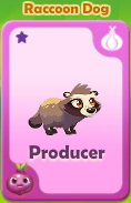 Producer Raccoon Dog