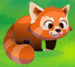 Red Panda