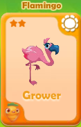 Grower Flamingo