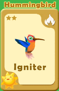Igniter Hummingbird A