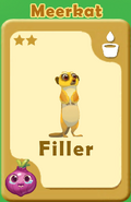 Filler Meerkat A