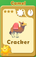 Cracker Camel A