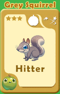 Hitter Grey Squirrel A