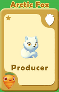 Producer Arctic Fox A