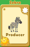 Producer Zebra A