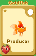 Producer Goldfish A