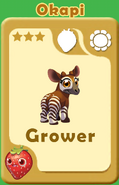 Grower Okapi A