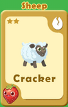 Cracker Sheep A