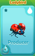 Producer Ladybird