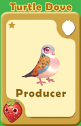 Producer Turtle Dove A