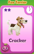 Cracker Fox Terrier