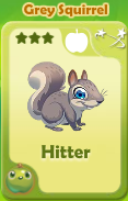 Hitter Grey Squirrel