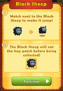 Black Sheep