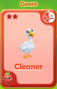 Cleaner Goose