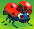 Ladybird