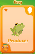 Producer Frog