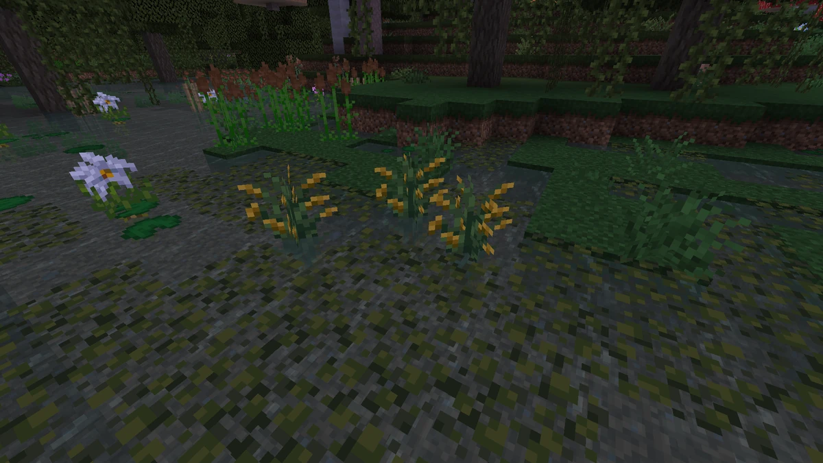 Rice Farmer's Delight Wiki Fandom