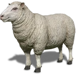 FS19 Animal-SheepWhite.png
