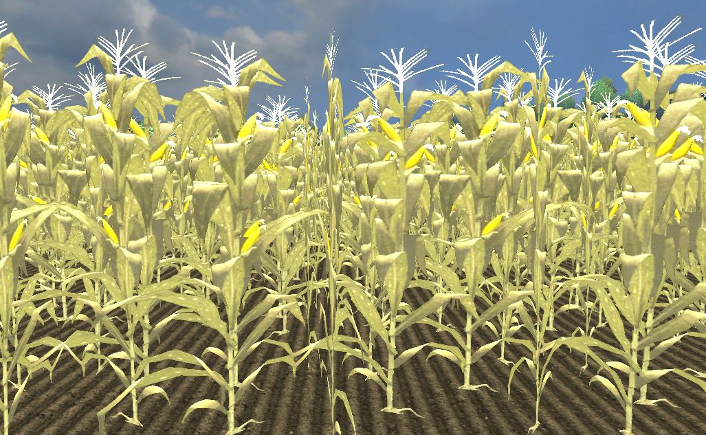 how to harvest corn in farming simulator 2014 mobile how to harvest corn in farming simulator 2014 mobile
