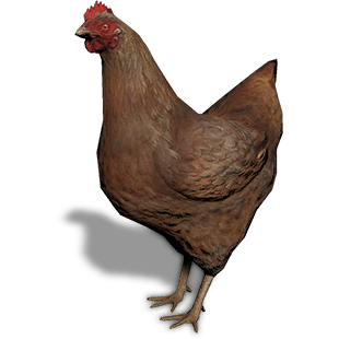 How To Get Chickens in Ranch Simulator - Try Hard Guides