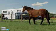 FS22-Horses
