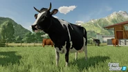 FS22-Cows