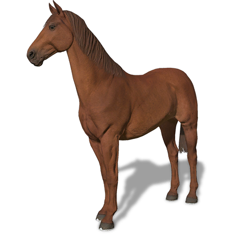 Gluten Free Games - You all have been so patient but I think it is time for  you to get a look at the new horse in the upcoming Ultimate Horse  Simulator!