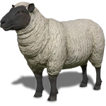 FS19 Animal-SheepBlackWhite.png