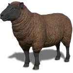 FS19 Animal-SheepBrown.png