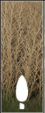 Poplars icon.png